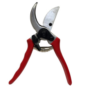 Secateurs - 21cm / Carbon Steel Blades -1