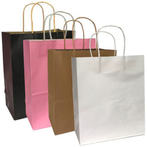 Med Paper Bag w/Gusset x 12pcs - 22cmW x 27cmH x 11cm Gusset / White -1