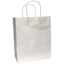 Med Paper Bag w/Gusset x 12pcs - 22cmW x 27cmH x 11cm Gusset / White