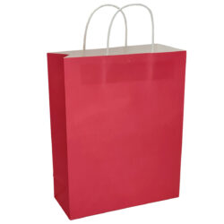 Lg Paper Bag w/Gusset x 12pcs - 25cmW x 32cmH x 11cmG / Deep Pink