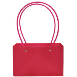 Rectangle Paper Bag - 22cm x 10cm x13cm / Fuchsia