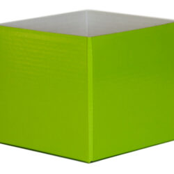 Small Flower Box - Gloss - 13cm x 13cm x 11.5cmH / Lime