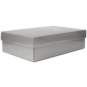 Small Gourmet Gift Box w/Lid - 34cm x 22cm x 9cmH / Silver