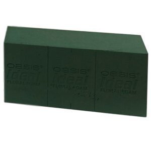 Oasis Ideal Foam Bricks / Each