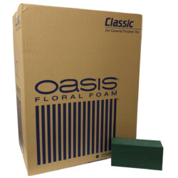 Oasis Classic Foam / Carton x 60pcs