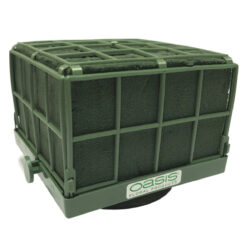 Oasis Domino Auto Corso - 11 x 11 x 9.5cm