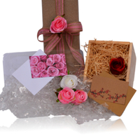 Cards & Envelopes