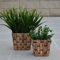 Flower & Plant Baskets