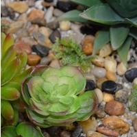 Stones and Gravel