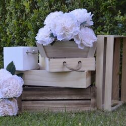 Wood Trays and Boxes