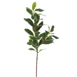 Artificial Leaf Spray - 76cmL / Green/Cream