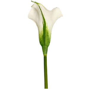 Calla Lily - 60cm L / White -2