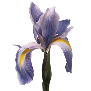 Artificial Iris Flower - 77cmL / Light Purple