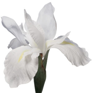 Artificial Iris Flower - 77cmL / White