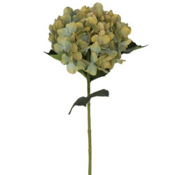Aida Artificial Hydrangea - 80cmL / Green