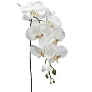 Cora Artificial Phalaenopsis Orchid Stem - 100cmL / White