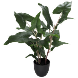 Artificial Potted Anthurium Plant - 54cmH / Green -1