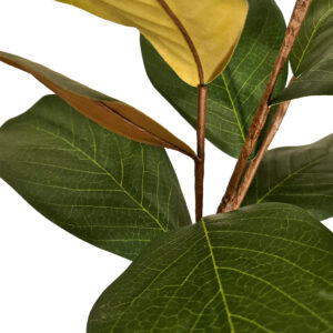 Magnolia Leaf Spray - 88cmL -1