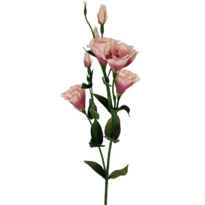 Artificial Lisianthus Spray - 75cmL / Pink -1