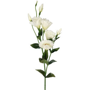 Artificial Lisianthus Spray - 75cmL / White -1