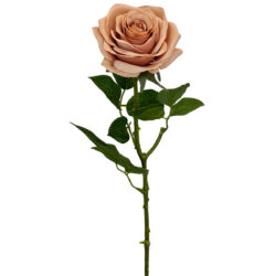 Eliza Artificial Rose - 650cmL / Latte -2