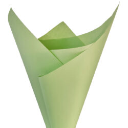 Coloured Kraft Paper - 80gsm - 50cm x 70cm x 100 sheets / Green -1