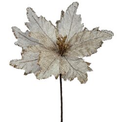 Christmas Natural Poinsettia Flower