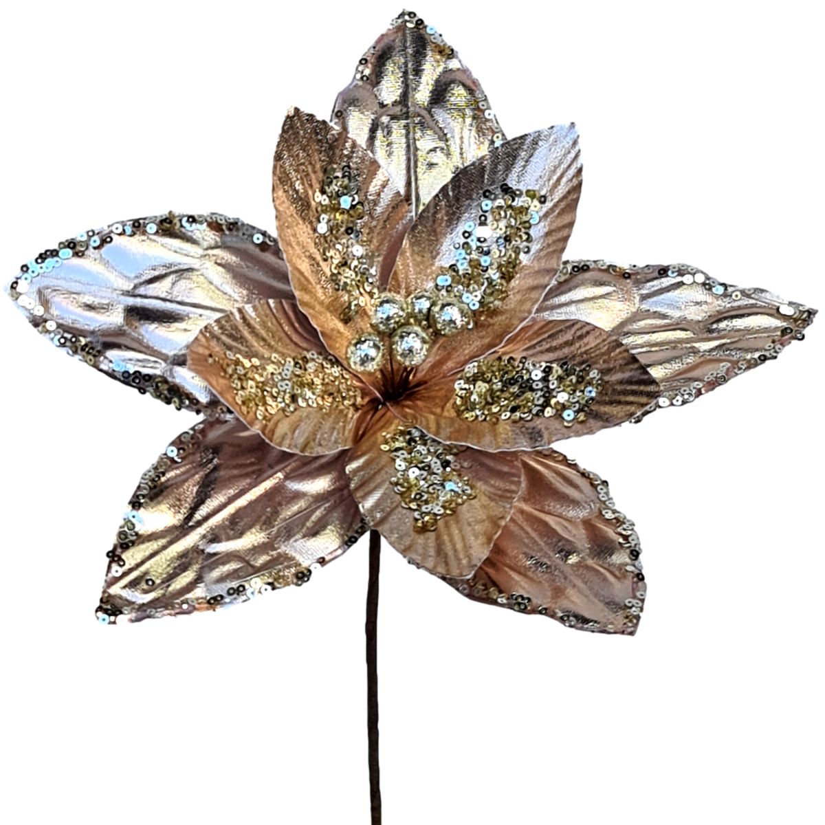 Christmas Champaign Poinsettia Flower -1