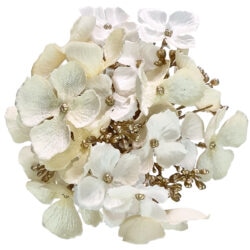 christmas hydrangea Clip