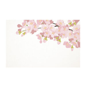 Soft Blossom Branch Card x 50