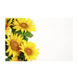Sunflower Card x 50