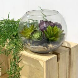 Glass Fish Bowl Vases