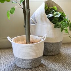 Flower & Plant Baskets