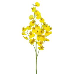Dancing Orchid - 75cmL / Yellow