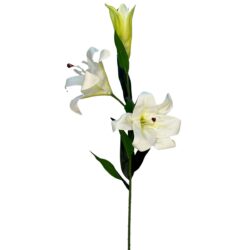 Oriental Lily Spray - 88cmL / White -1