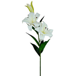 Oriental Lily Spray - 88cmL / White