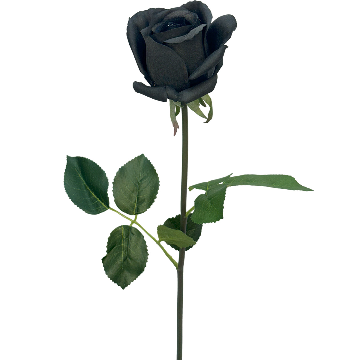 Bella Real Touch Rose - 46cmL / Black -1