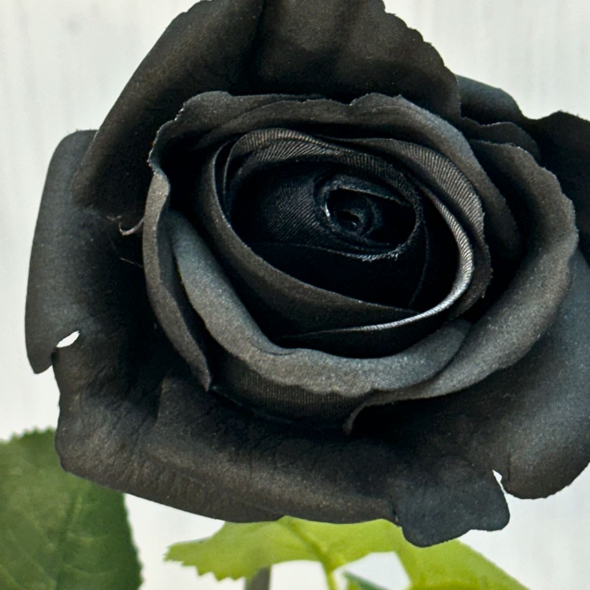 Bella Real Touch Rose - 46cmL / Black - Image 2