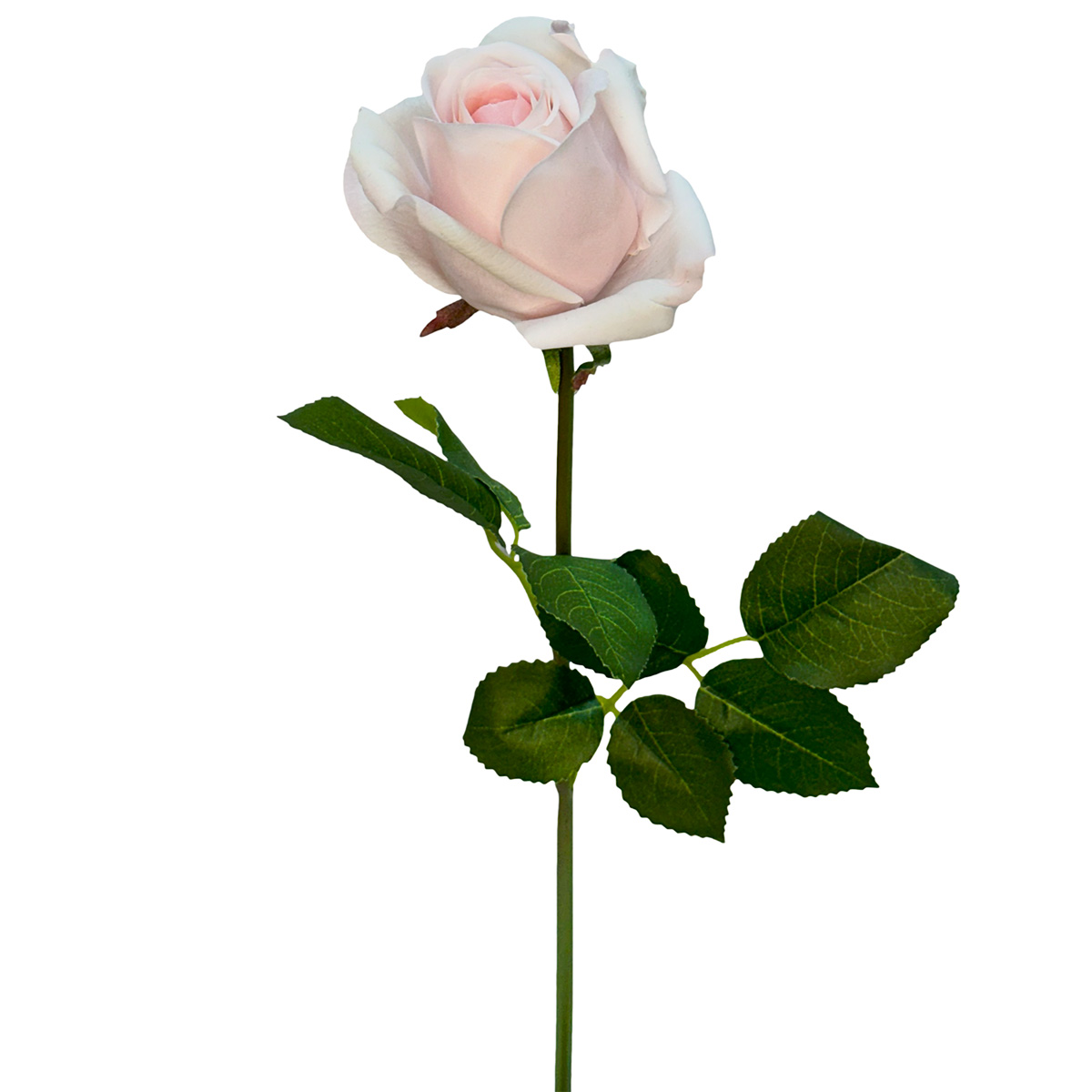 Bella Real Touch Rose - 46cm / Light Pink -1