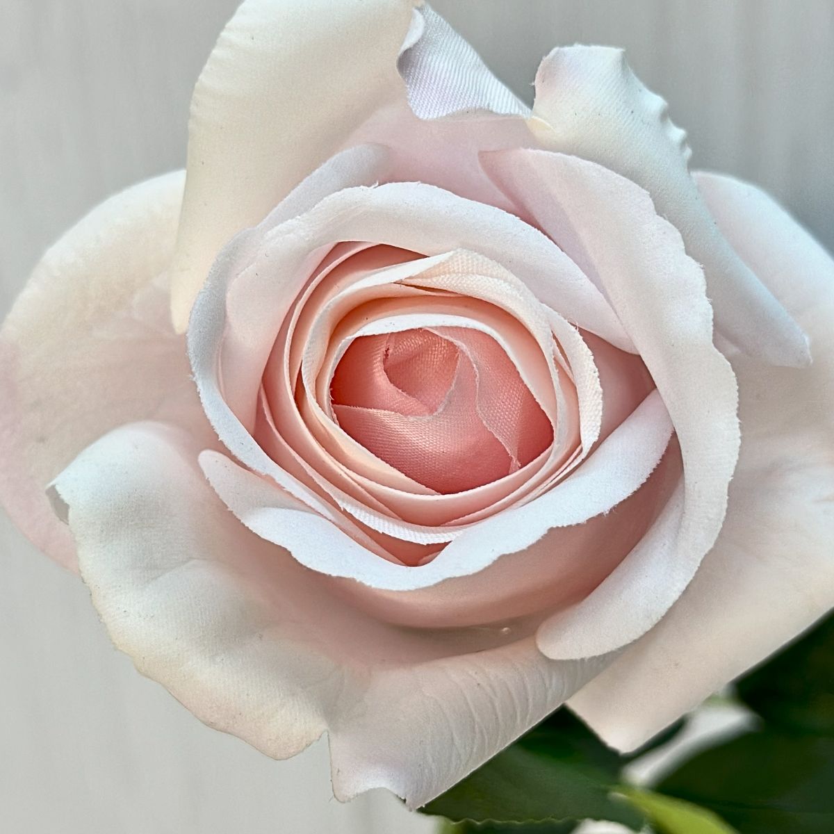 Bella Real Touch Rose - 46cm / Light Pink - Image 2