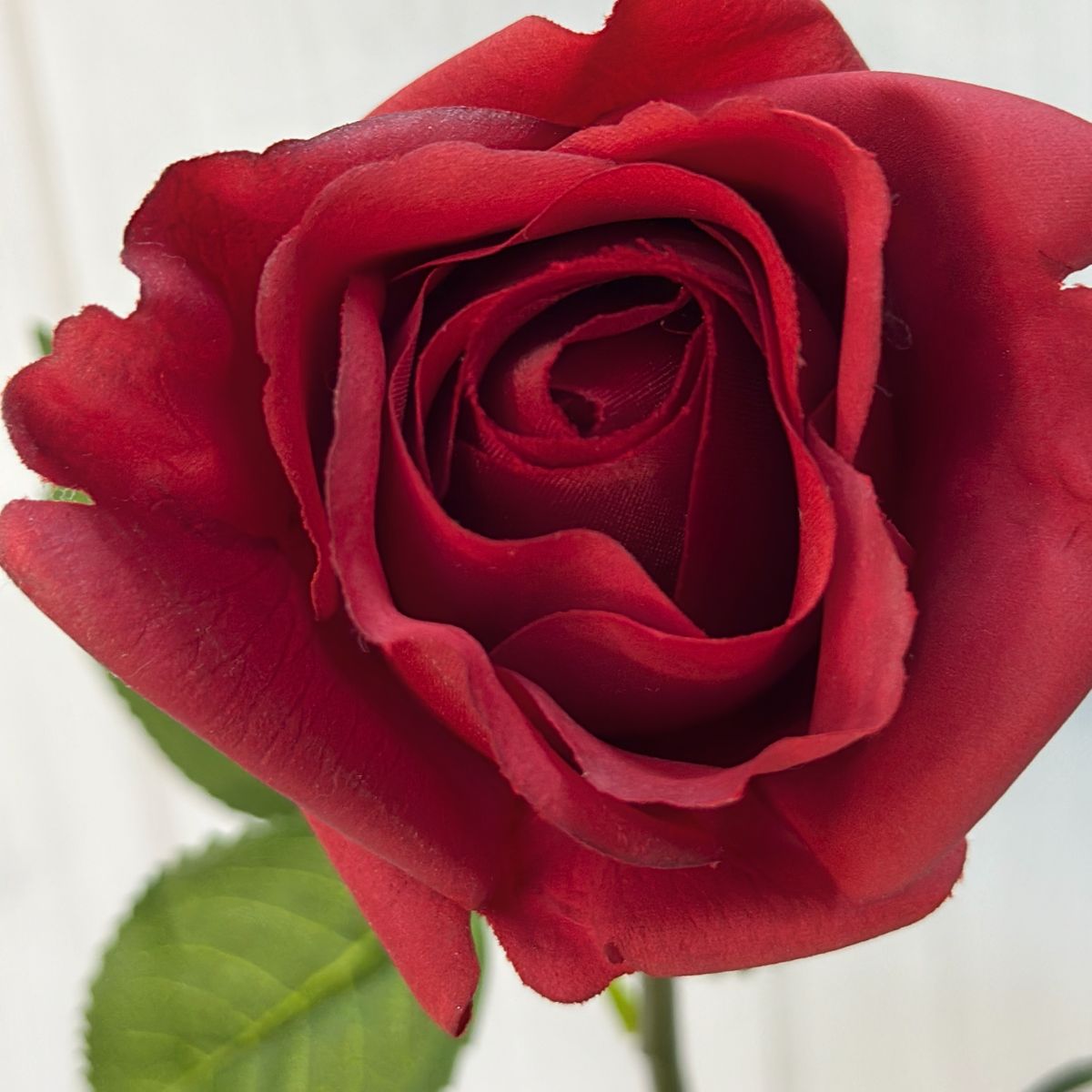 Bella Real Touch Rose - 46cmL / Red - Image 2