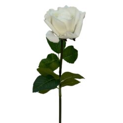 Bella Real Touch Rose - 46cmL / White -1