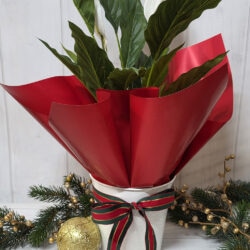 Round Metal Christmas Bucket White