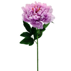 Mollie Peony - 75cmL / Lavender