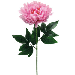 Mollie Peony - 75cmL / Pink