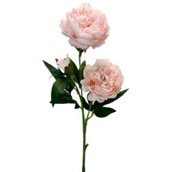 Arisa Peony Spray - 71cmL/Lt Pink