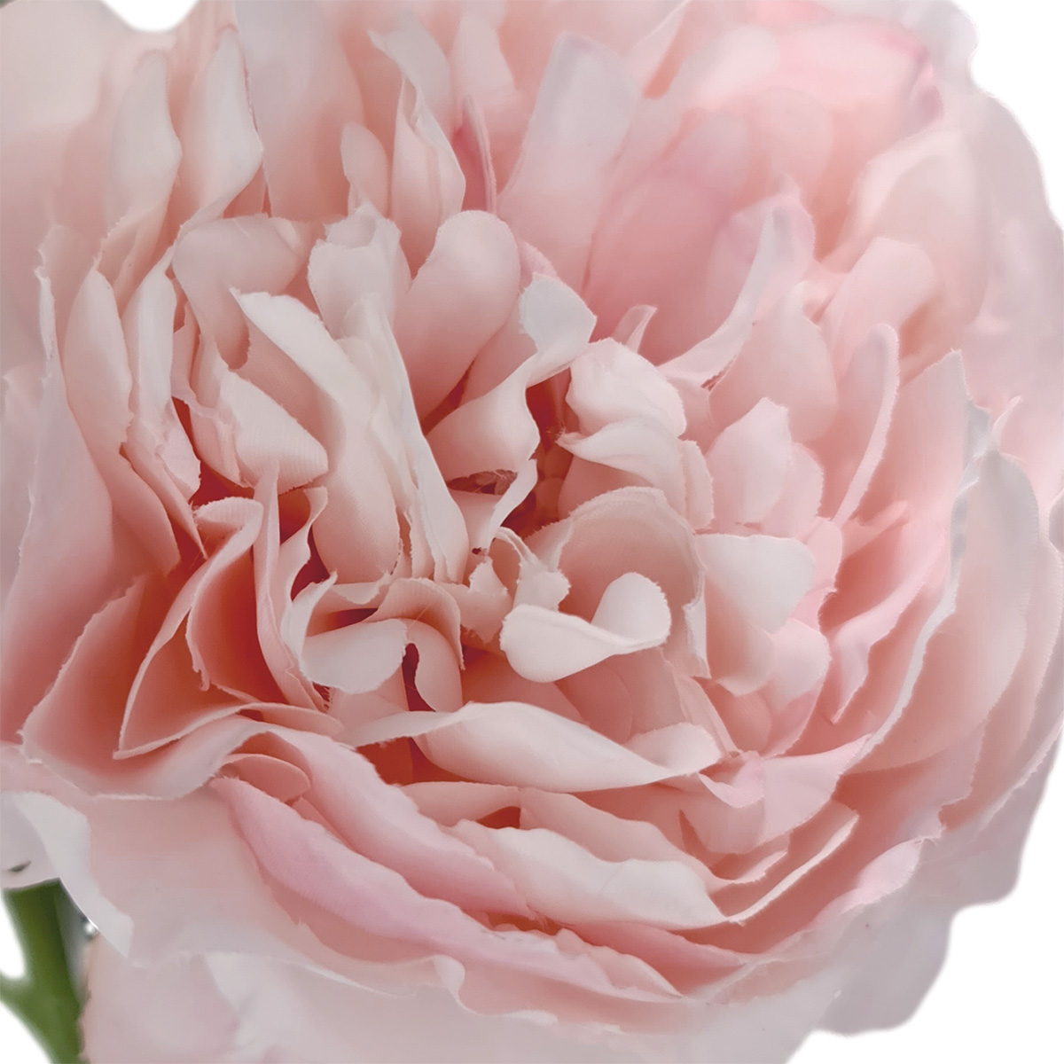 Arisa Peony Spray - 71cmL/Lt Pink - Image 2
