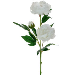 Arisa Peony Spray - 71cmL/White