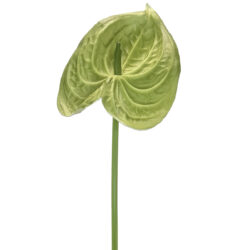 Real Touch Anthurium 57cm/Green