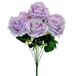Mia Rose Bush - 48cm / Lavender